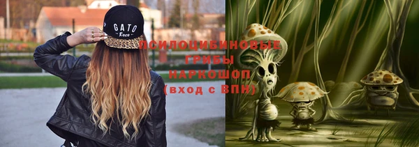 МДПВ Алзамай