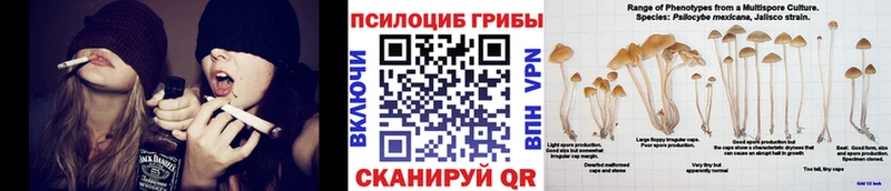 Псилоцибиновые грибы ЛСД  Набережные Челны 